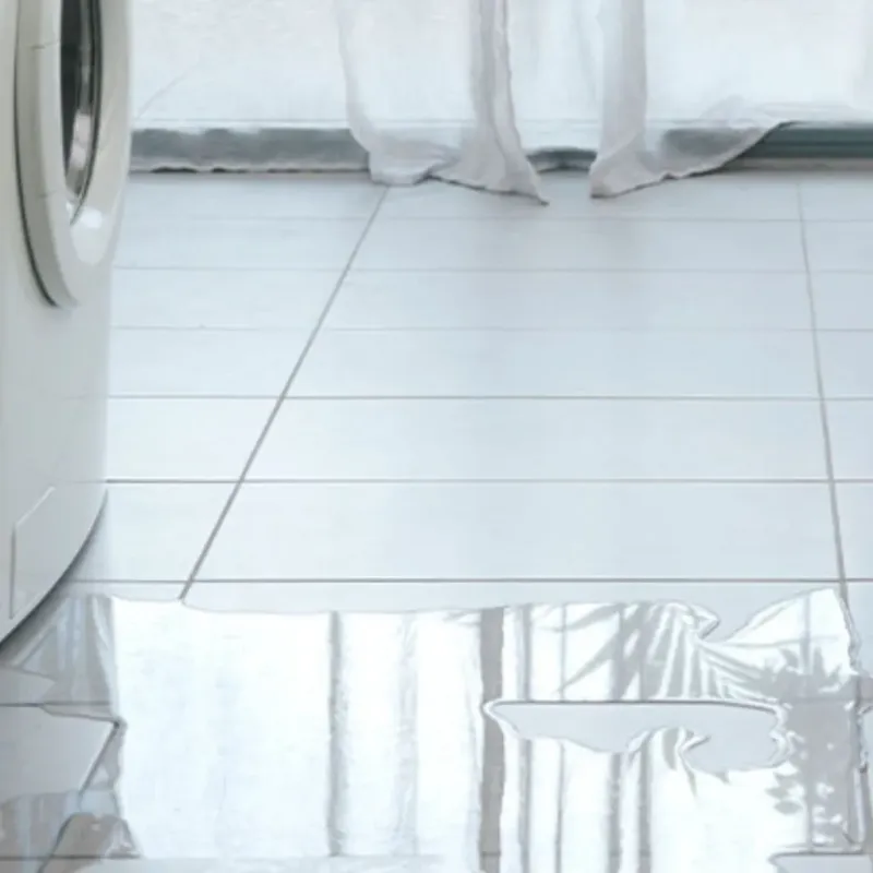 Appliance Leak Cleanup in Greenville, NC