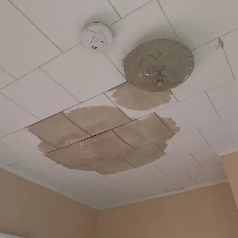 Ceiling Water Damage Repair in Greenville, NC