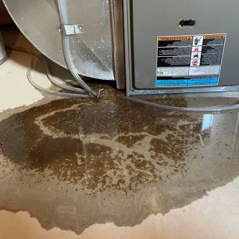 Pipe Burst and Leak Restoration in Greenville, NC