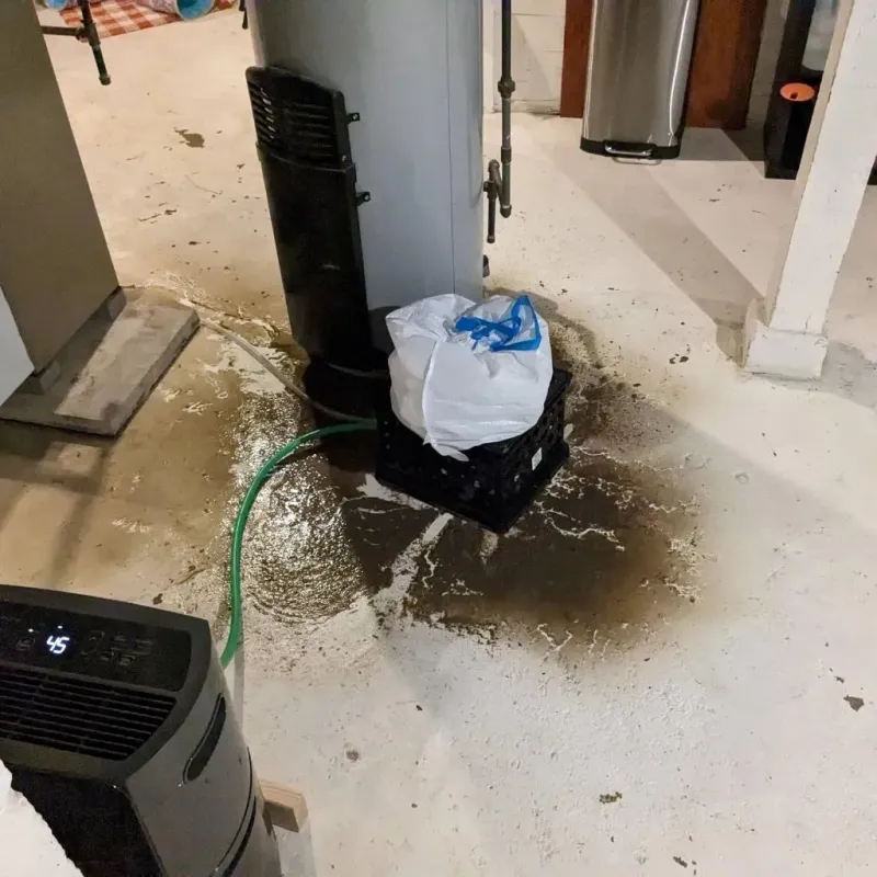 Sewage Backup Cleanup Service in Greenville, NC